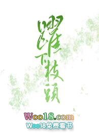圆形纸筒哪家好